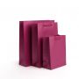 Custom Luxury Small Shopping Bag Jewelry Portable Paper Bag Durable Coated Paper Ribbon Accessory Necklace Ring Gift Packaging