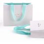 Luxury Mini Gift Jewelry Paper Shopping Bag Custom White Paper Bags With Your Own Logo